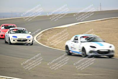 media/Jan-26-2025-CalClub SCCA (Sun) [[cfcea7df88]]/Group 4/Race/